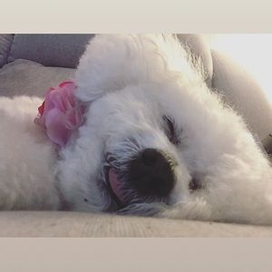 Meet your Posher, Heidi